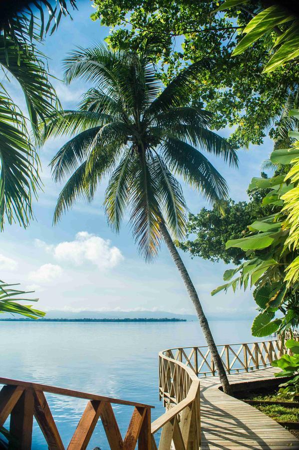 Banana Palms Hotel Rio Dulce Zewnętrze zdjęcie